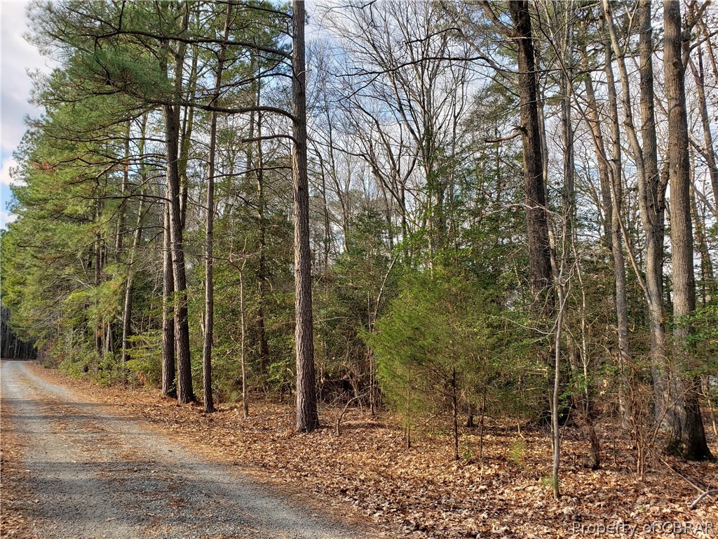 0 Railway Road Port Haywood, VA 23138 - Photo 4 of 6