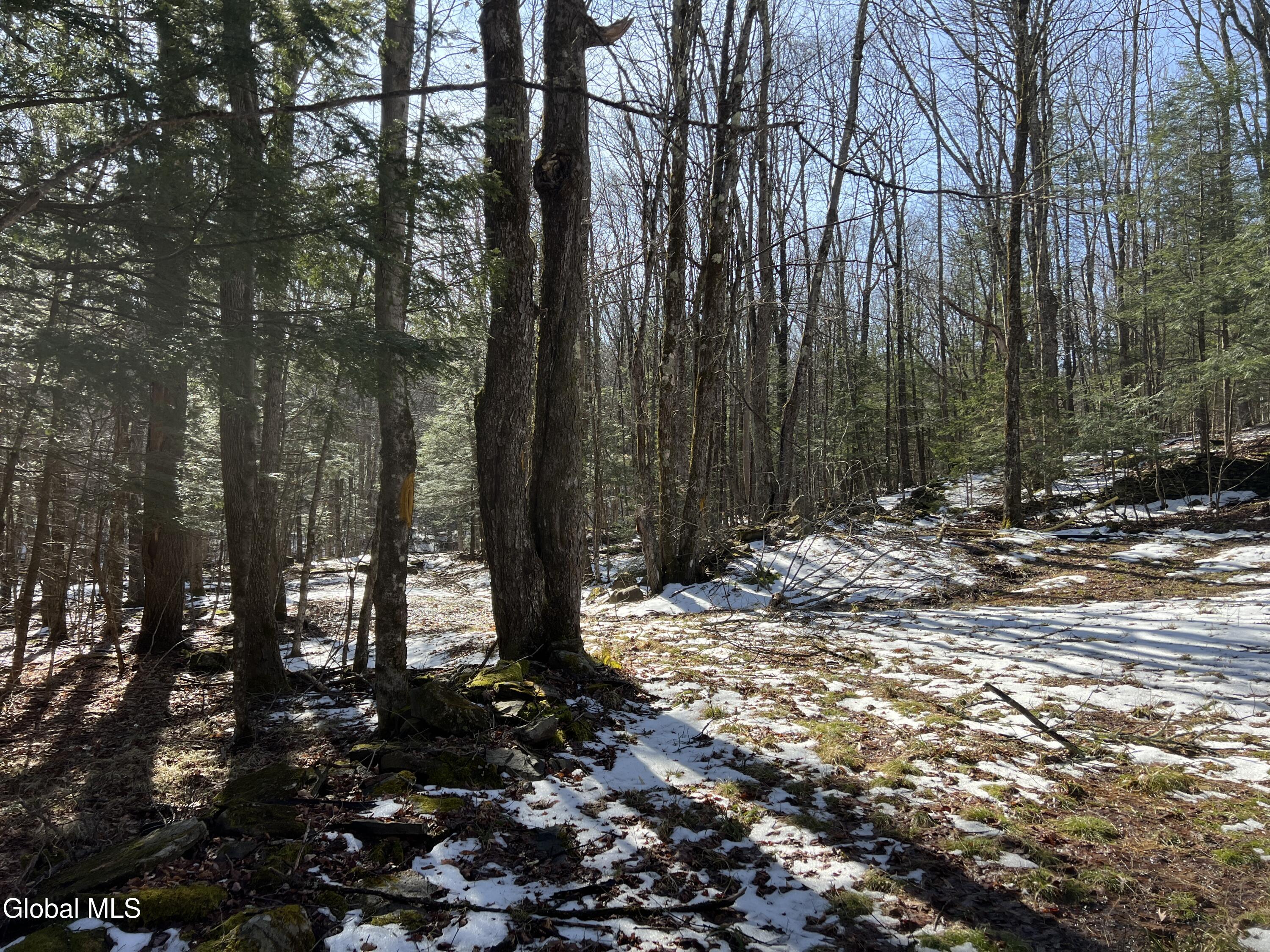 536 Bates Forest Road Conesville, NY 12076 - Photo 33 of 37 33) 72553-6a22a18b3b128