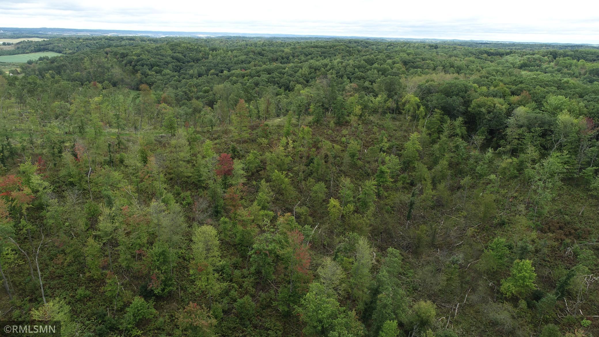 0 County Road West Whitehall, WI 54773 - Photo 1 of 1