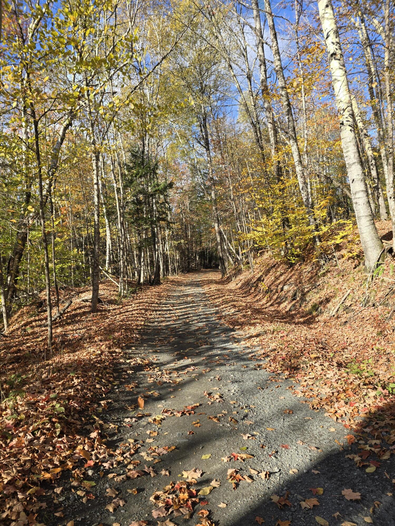 53 Back Road Abbot, ME 04406 - Photo 39 of 73 20251017_093141