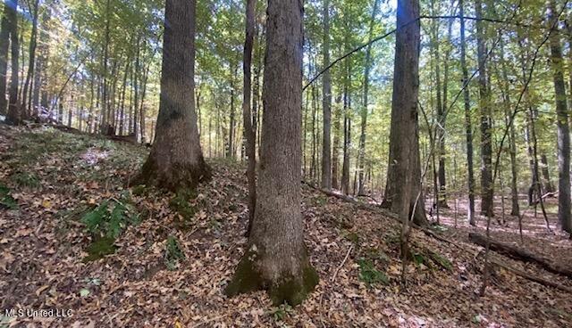 1 Davenport Road Byhalia, MS 38611 - Photo 2 of 4 IMG_1460