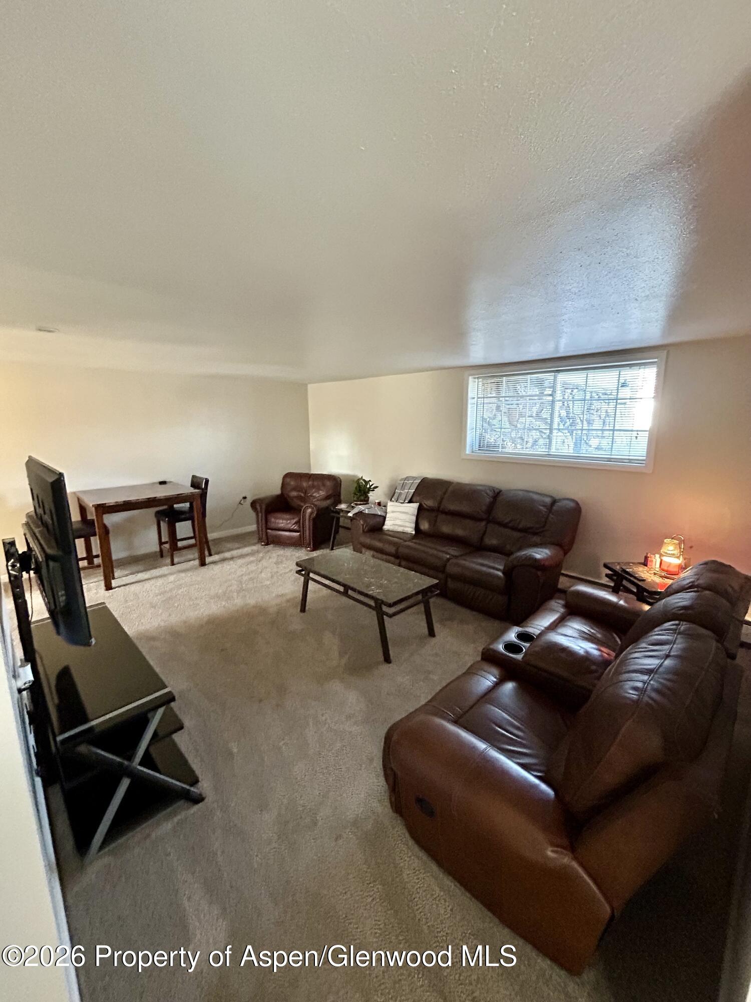 730 Green Street Craig, CO 81625 - Photo 24 of 34 a living room with furniture