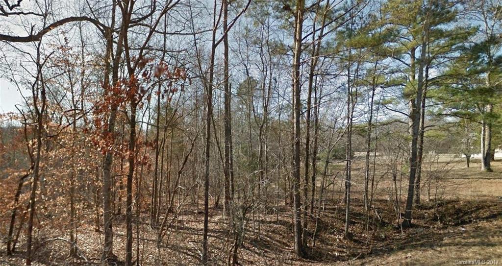 2075 Pinckney Road Chester, SC 29706 - Photo 4 of 18 a view of a yard