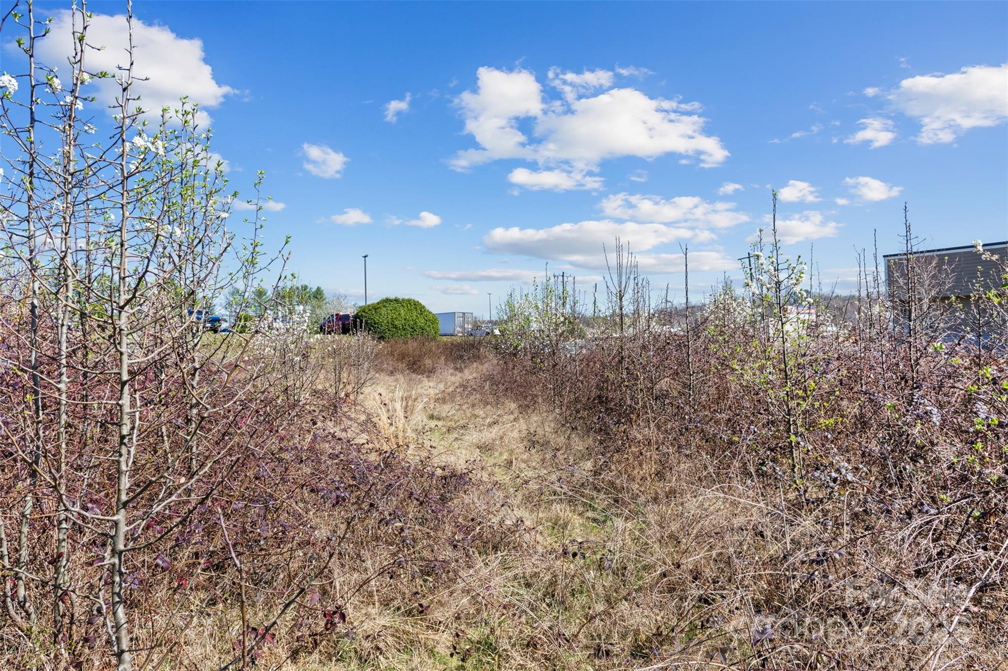 0 Harper Avenue, Unit 2 Lenoir, NC 28645 - Photo 3 of 14