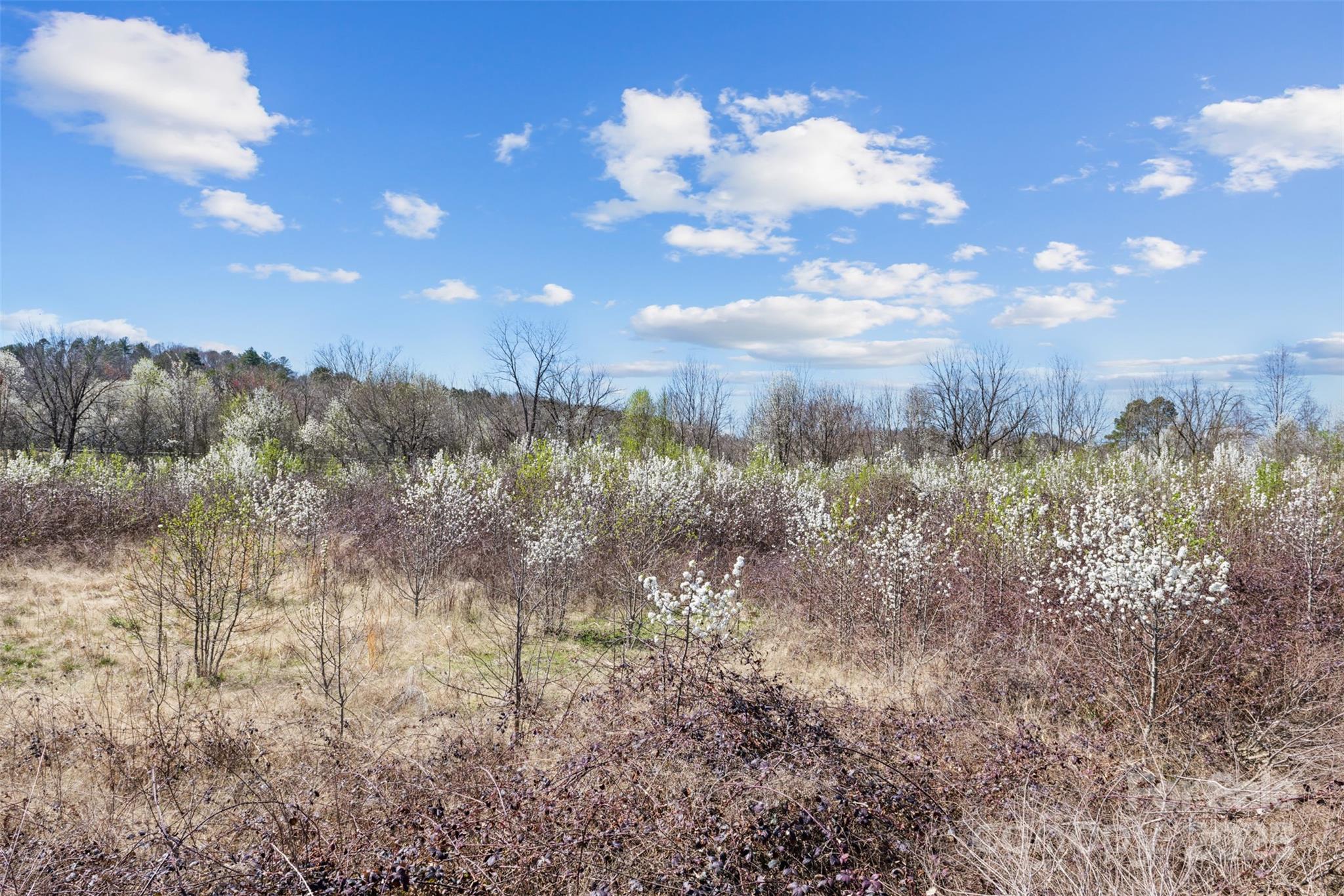 0 Harper Avenue, Unit 2 Lenoir, NC 28645 - Photo 4 of 14