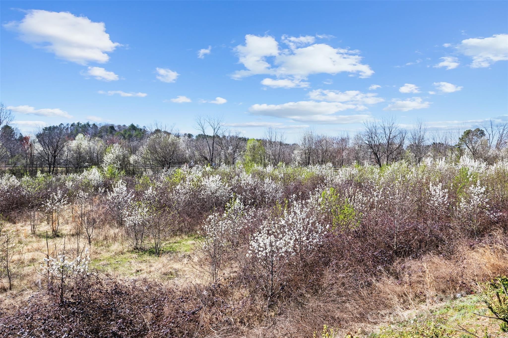0 Harper Avenue, Unit 2 Lenoir, NC 28645 - Photo 5 of 14