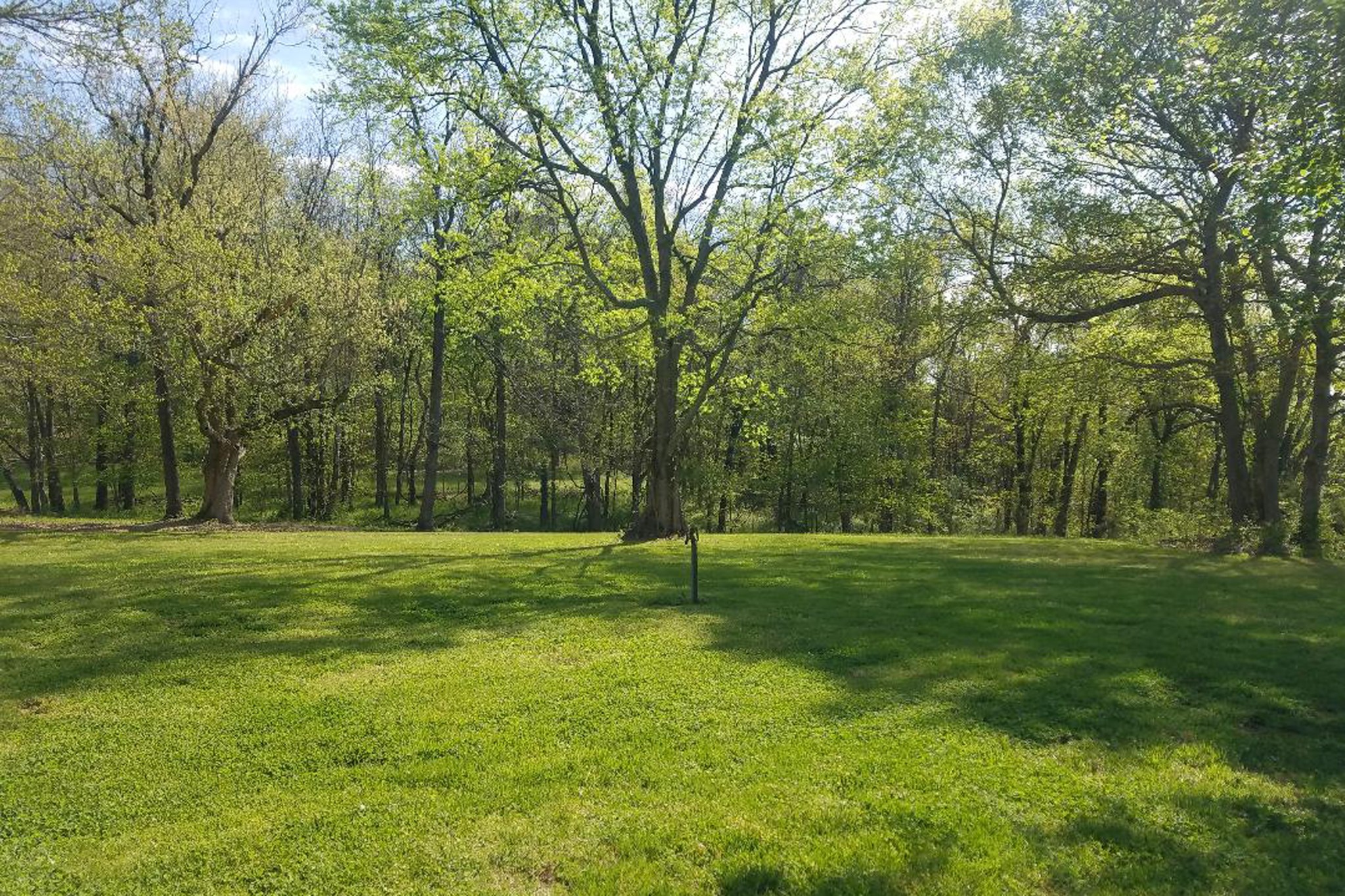 8479 Springfield Road Franklin, KY 42134 - Photo 18 of 18 Gallery Image 18