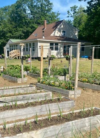 115 Intervale Road New Sharon, ME 04955 - Photo 7 of 50 Garden