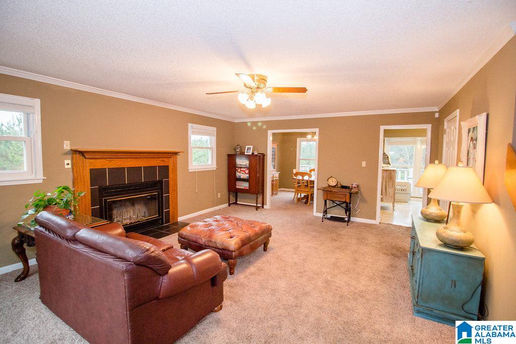 4872 Bob Brill Road Bessemer, AL 35022 - Photo 4 of 28
