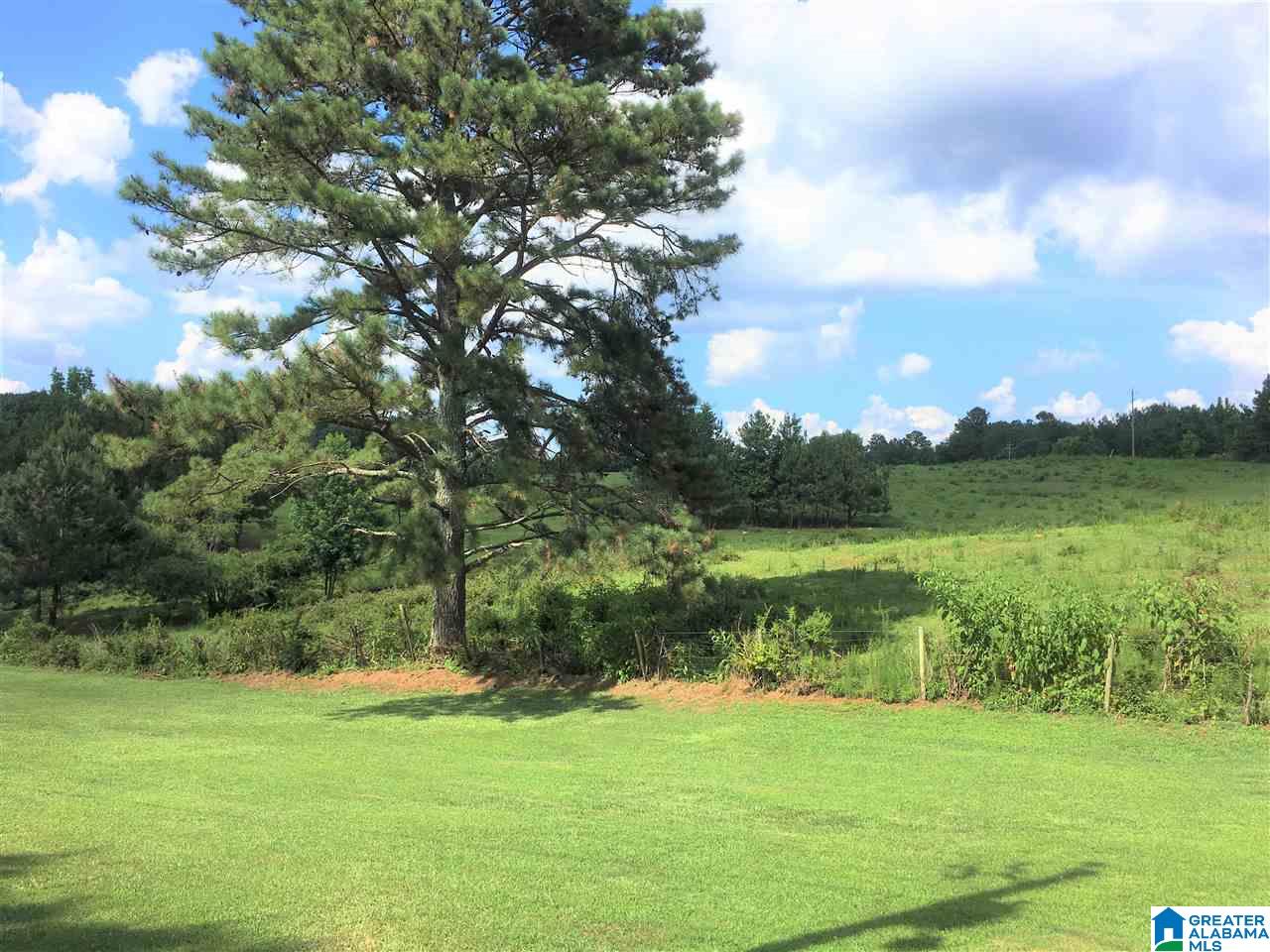 289 County Road 445 Heflin, AL 36264 - Photo 8 of 48