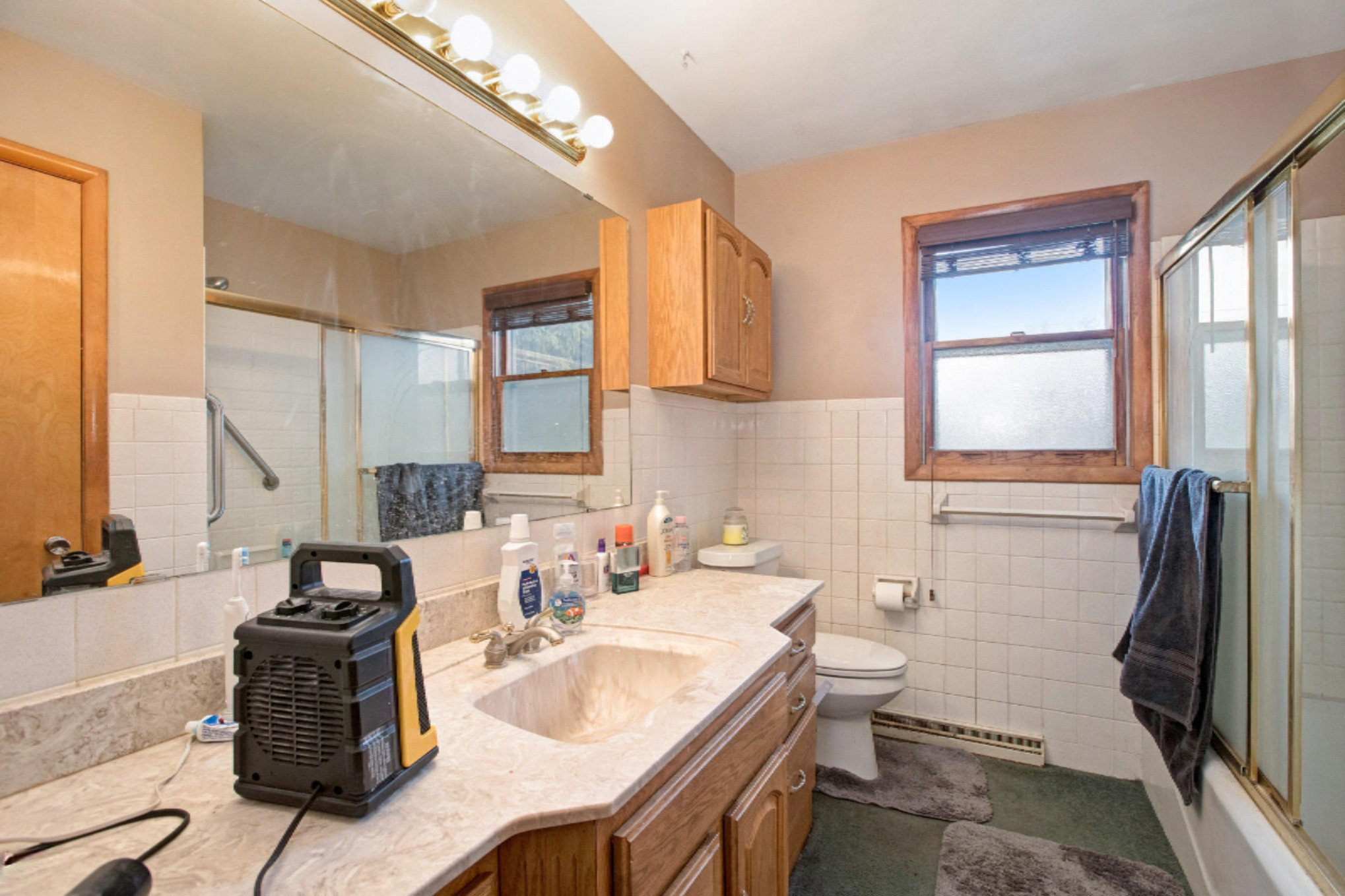 58462 Pleasant View Court Three Rivers, MI 49093 - Photo 14 of 21 NDP DNGs_100_1