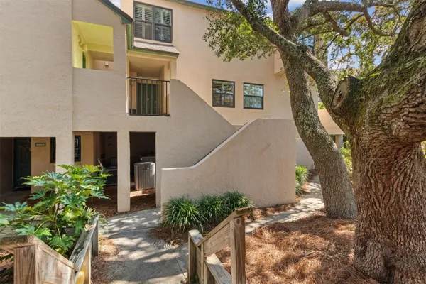 a view of a house with a plants and a tree