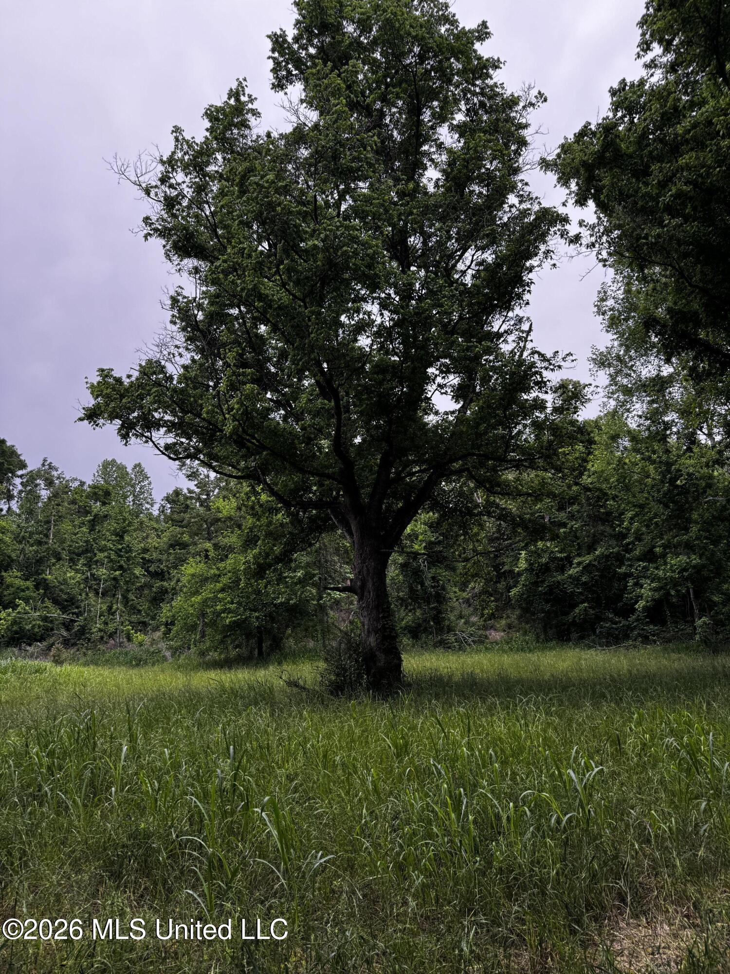 1181 Gowall Road Vicksburg, MS 39183 - Photo 25 of 43 IMG_5098
