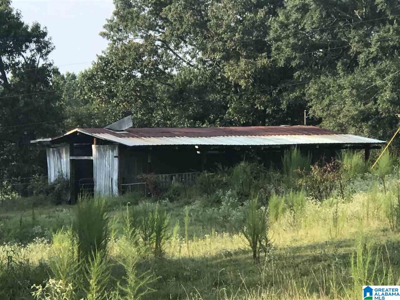 0 County Road 454 Clanton, AL 35046 - Photo 7 of 7