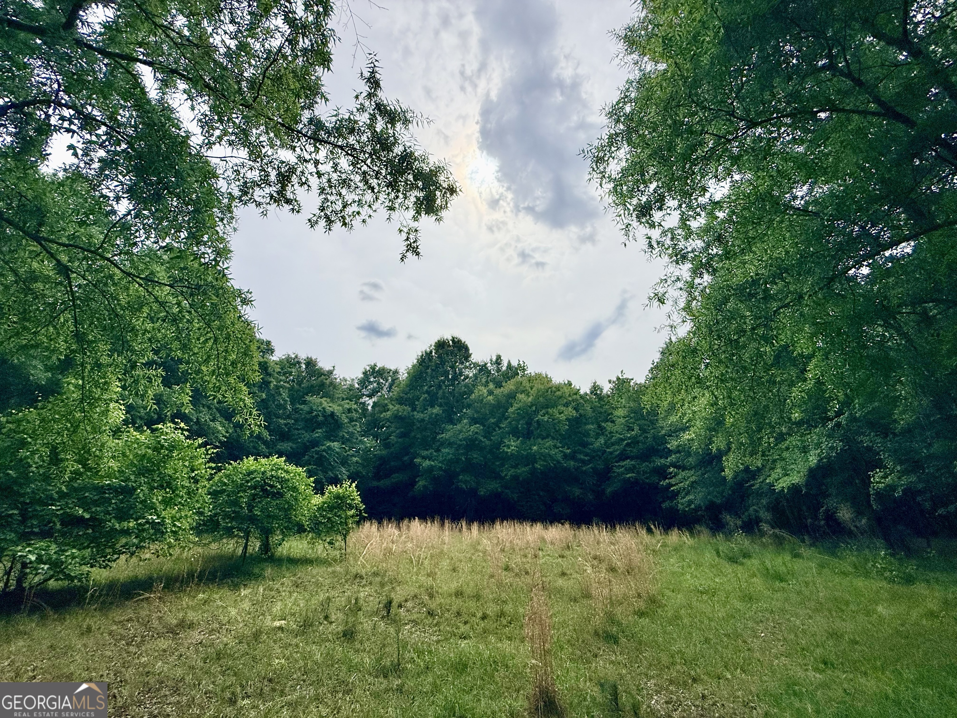 715 Fulsome Creek Road Sparta, GA 31087 - Photo 13 of 117