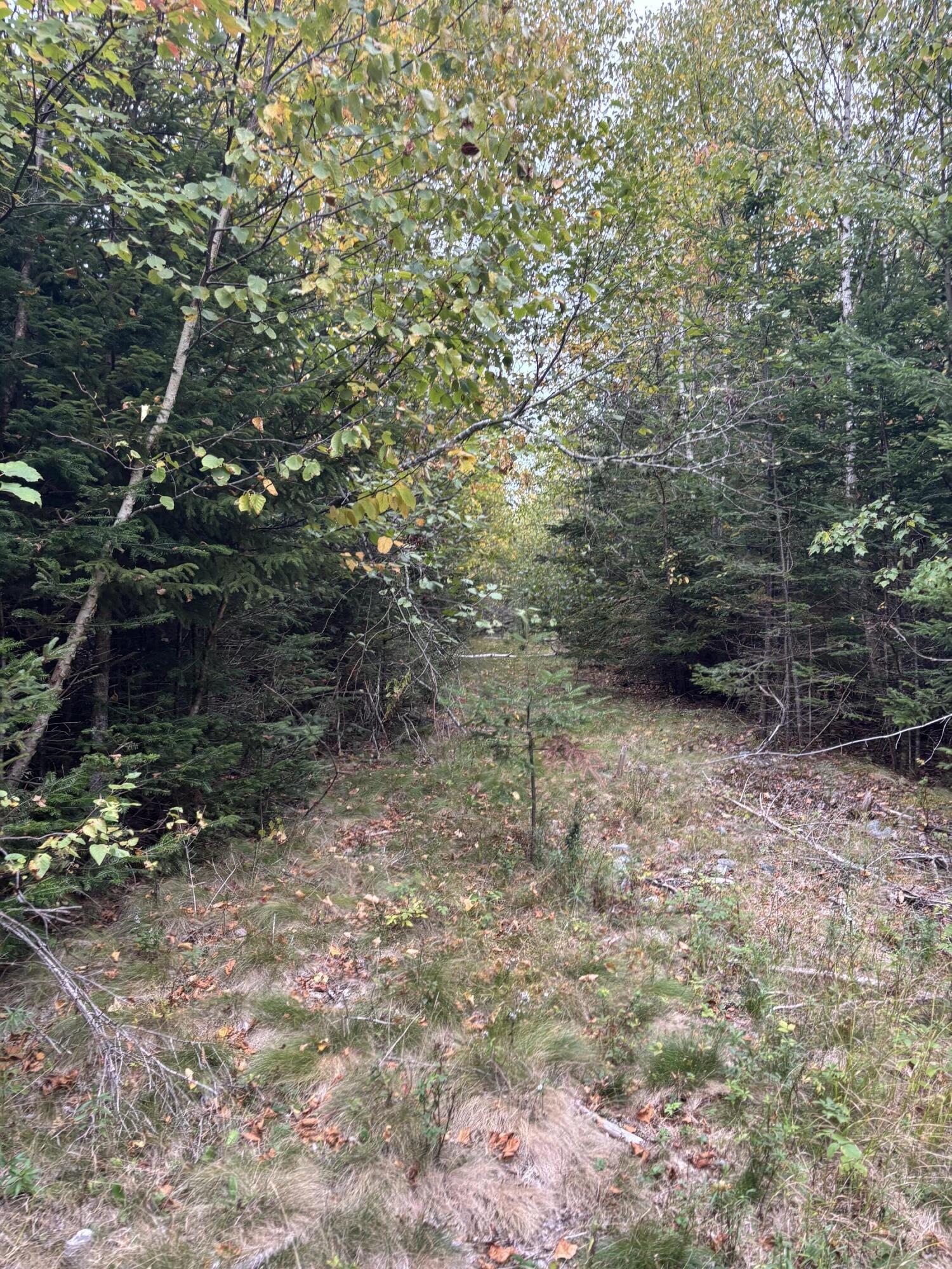 M20-l2 East Side Road Addison, ME 04606 - Photo 13 of 15