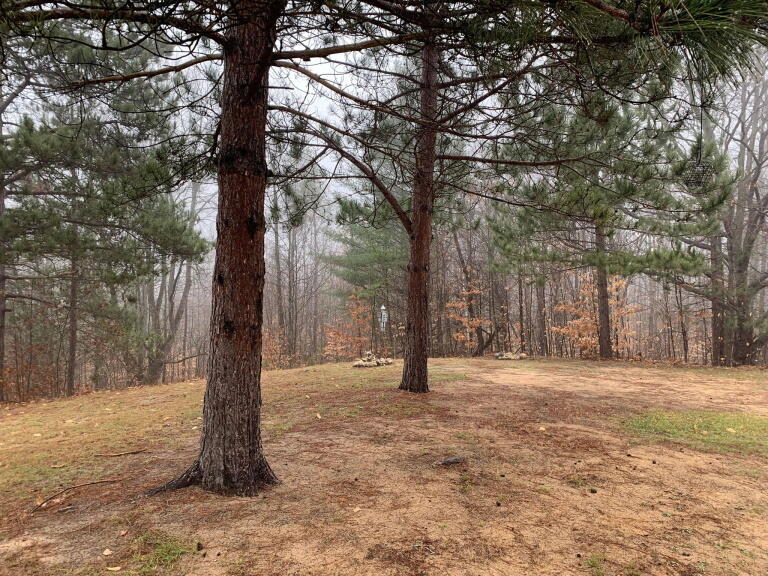 1020 Snake Branch Road Mio, MI 48647 - Photo 35 of 35 Gallery Image 35
