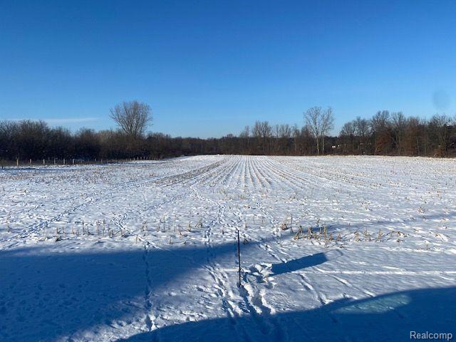 V/l Stewart Road Lapeer, MI 48446 - Photo 4 of 4