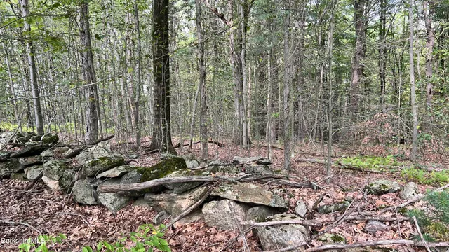 $165,000 | Lot 3-0 Rood Hill Road, Sandisfield, MA 01255