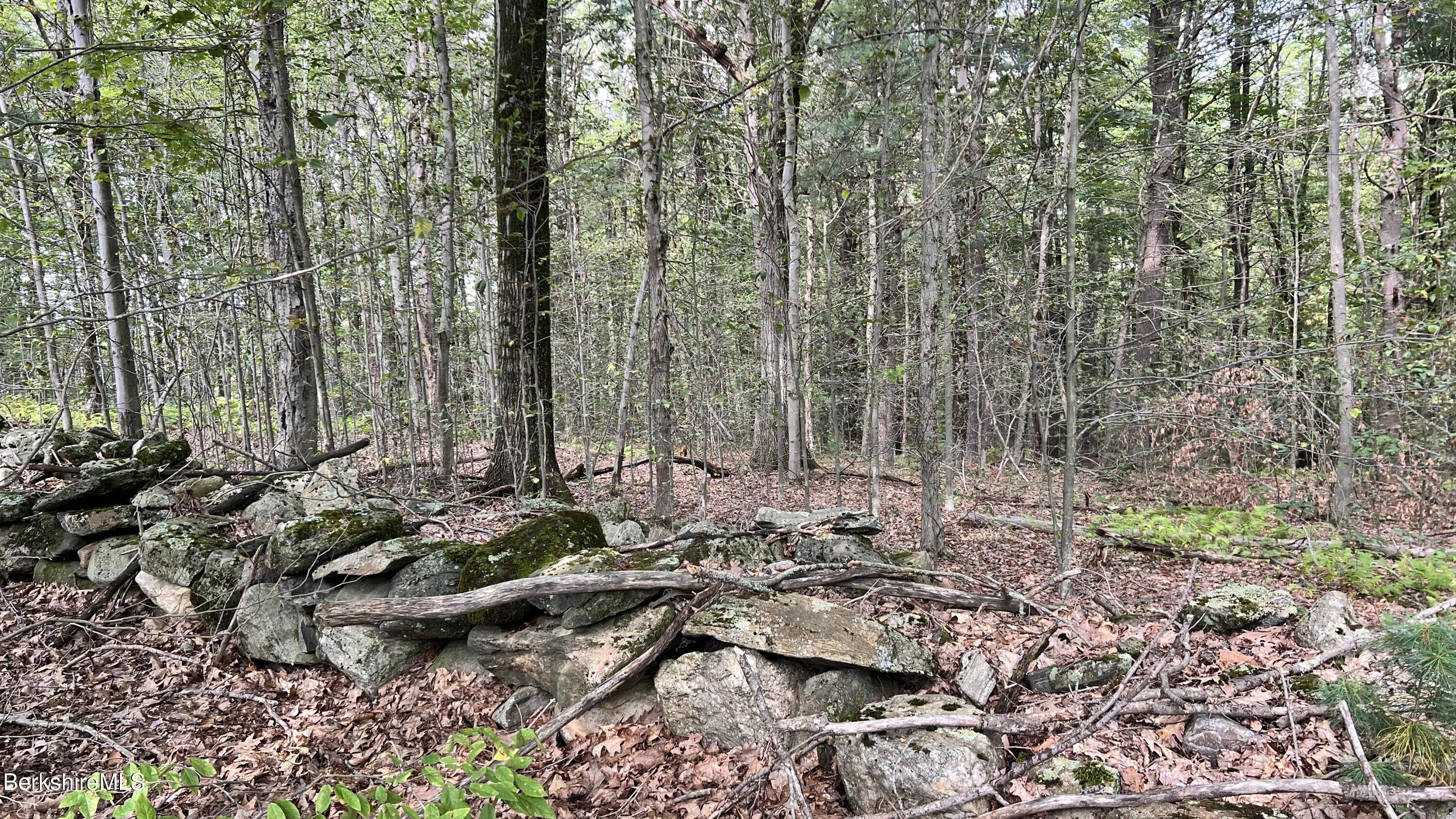 Lot 3-0 Rood Hill Road Sandisfield, MA 01255 - Photo 1 of 10 IMG_6865