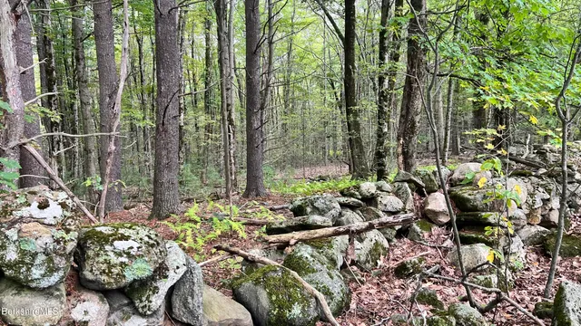 $165,000 | Lot 3-0 Rood Hill Road, Sandisfield, MA 01255