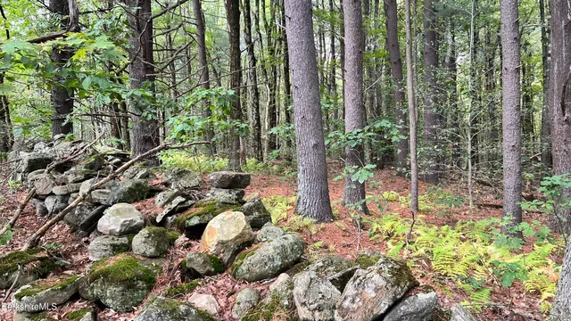 $165,000 | Lot 3-0 Rood Hill Road, Sandisfield, MA 01255