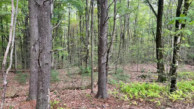 $165,000 | Lot 3-0 Rood Hill Road, Sandisfield, MA 01255