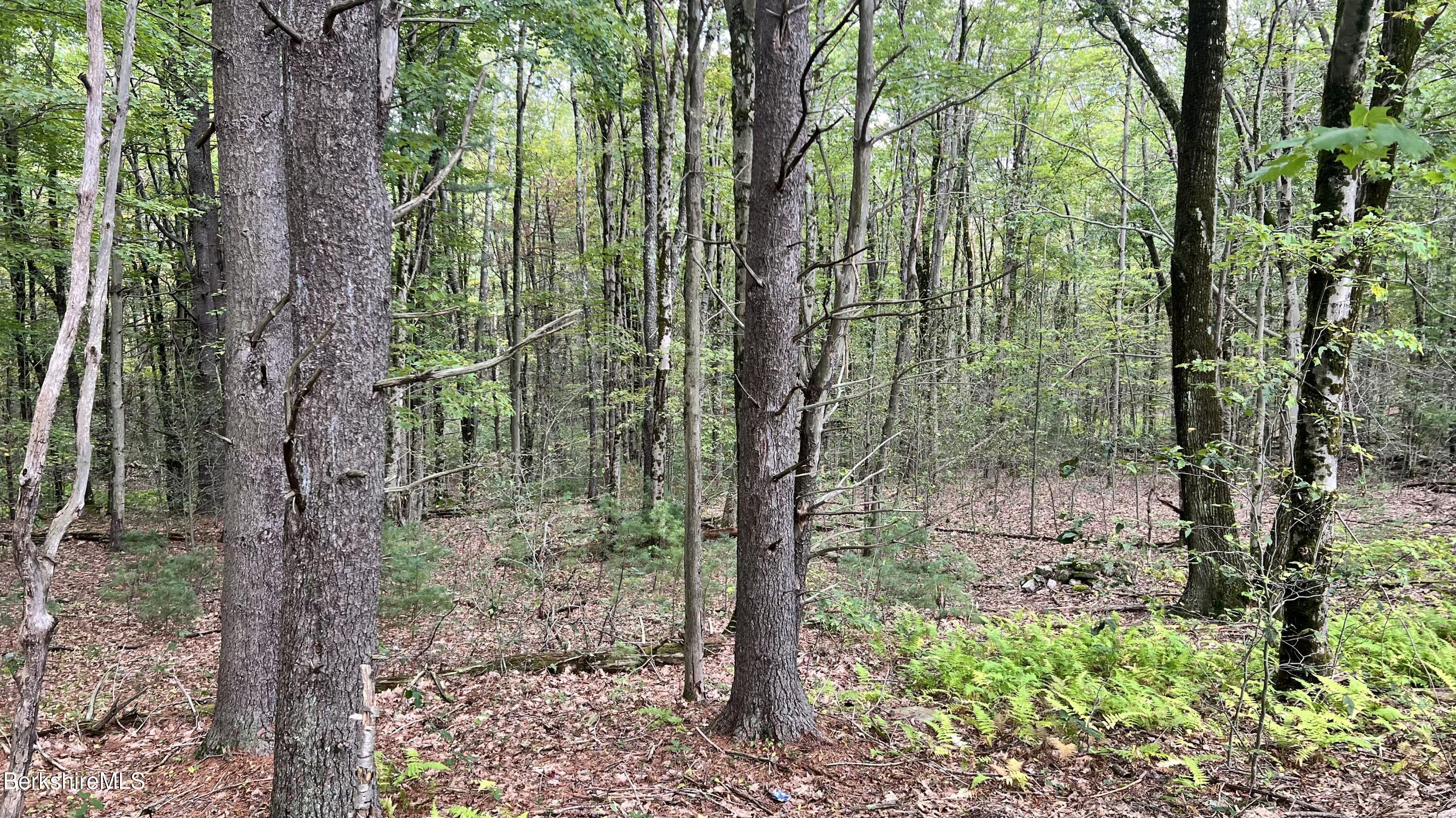 Lot 3-0 Rood Hill Road Sandisfield, MA 01255 - Photo 6 of 10 IMG_6868