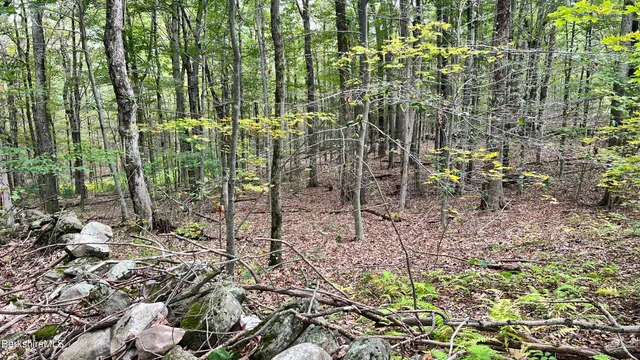 $165,000 | Lot 3-0 Rood Hill Road, Sandisfield, MA 01255