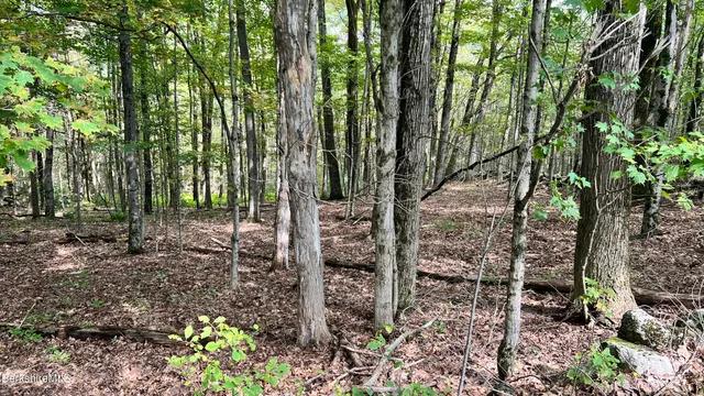 $165,000 | Lot 3-0 Rood Hill Road, Sandisfield, MA 01255