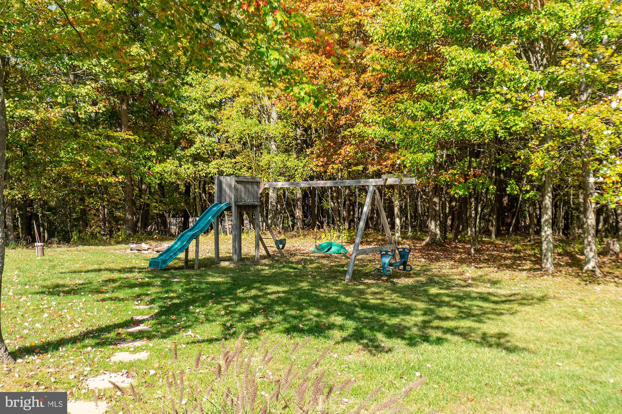 1865 Paradise Point Road Oakland, MD 21550 - Photo 23 of 76 Swing Set