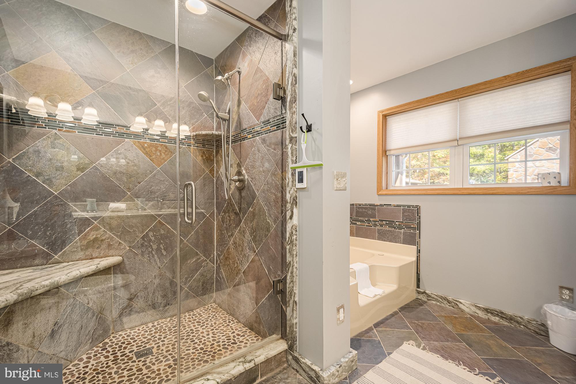 1865 Paradise Point Road Oakland, MD 21550 - Photo 40 of 76 master Bed Bathroom