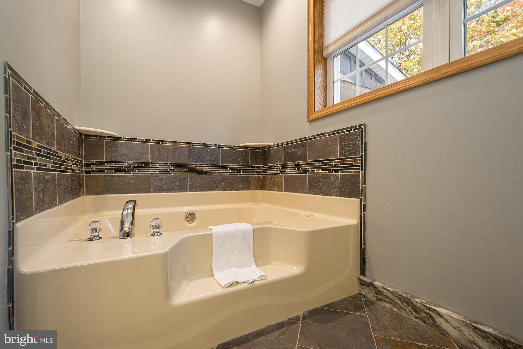 1865 Paradise Point Road Oakland, MD 21550 - Photo 41 of 76 Master Bed Bathroom