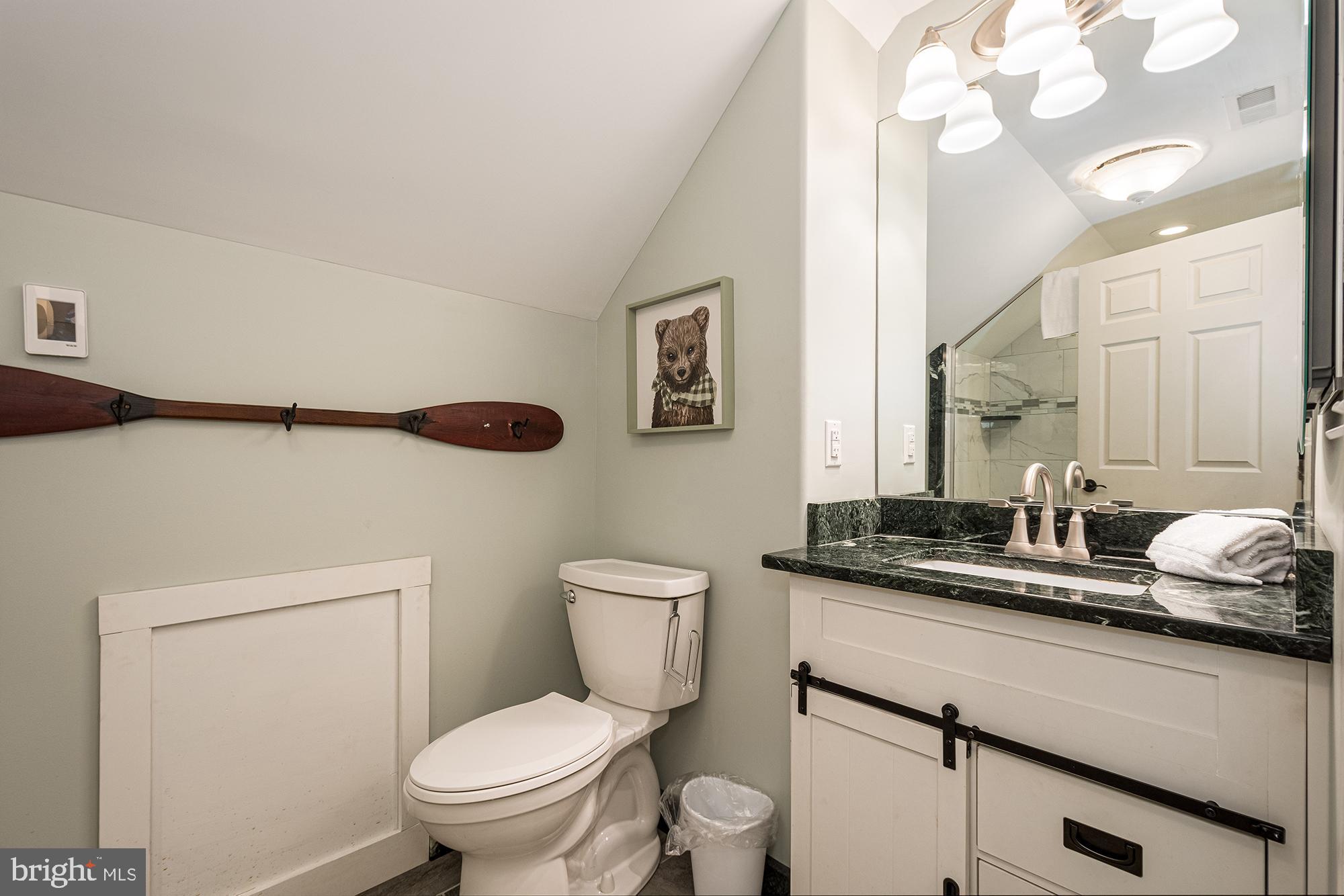 1865 Paradise Point Road Oakland, MD 21550 - Photo 75 of 76 Upstairs Bathroom