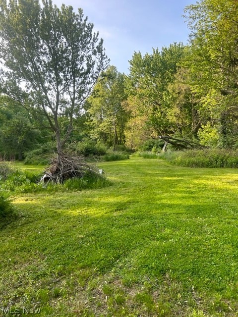 35782 Center Ridge Road North Ridgeville, OH 44039 - Photo 8 of 11 This begins 127 ft wide by 1100ft back