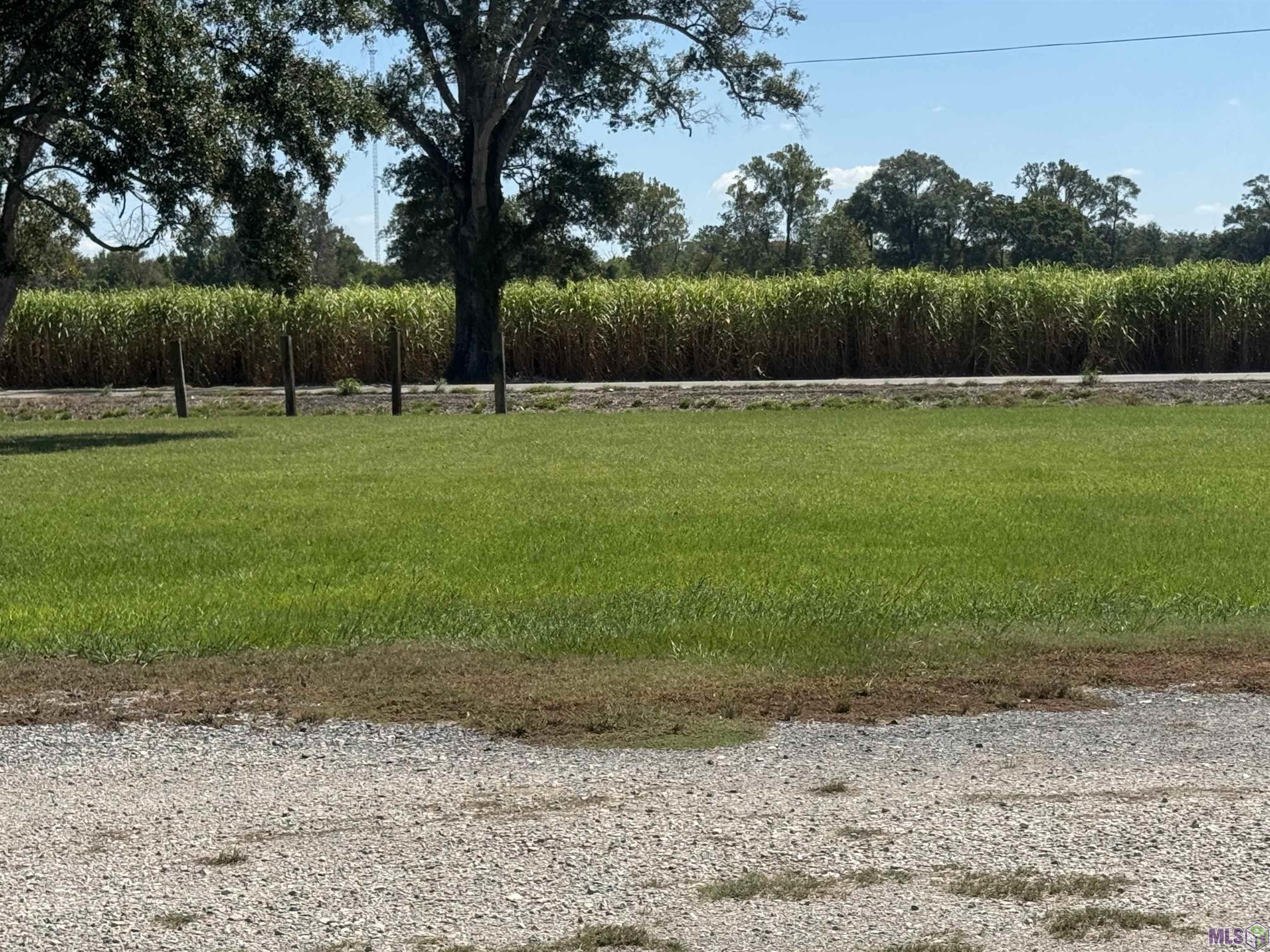 75830 Rosedale Road Rosedale, LA 70772 - Photo 2 of 7