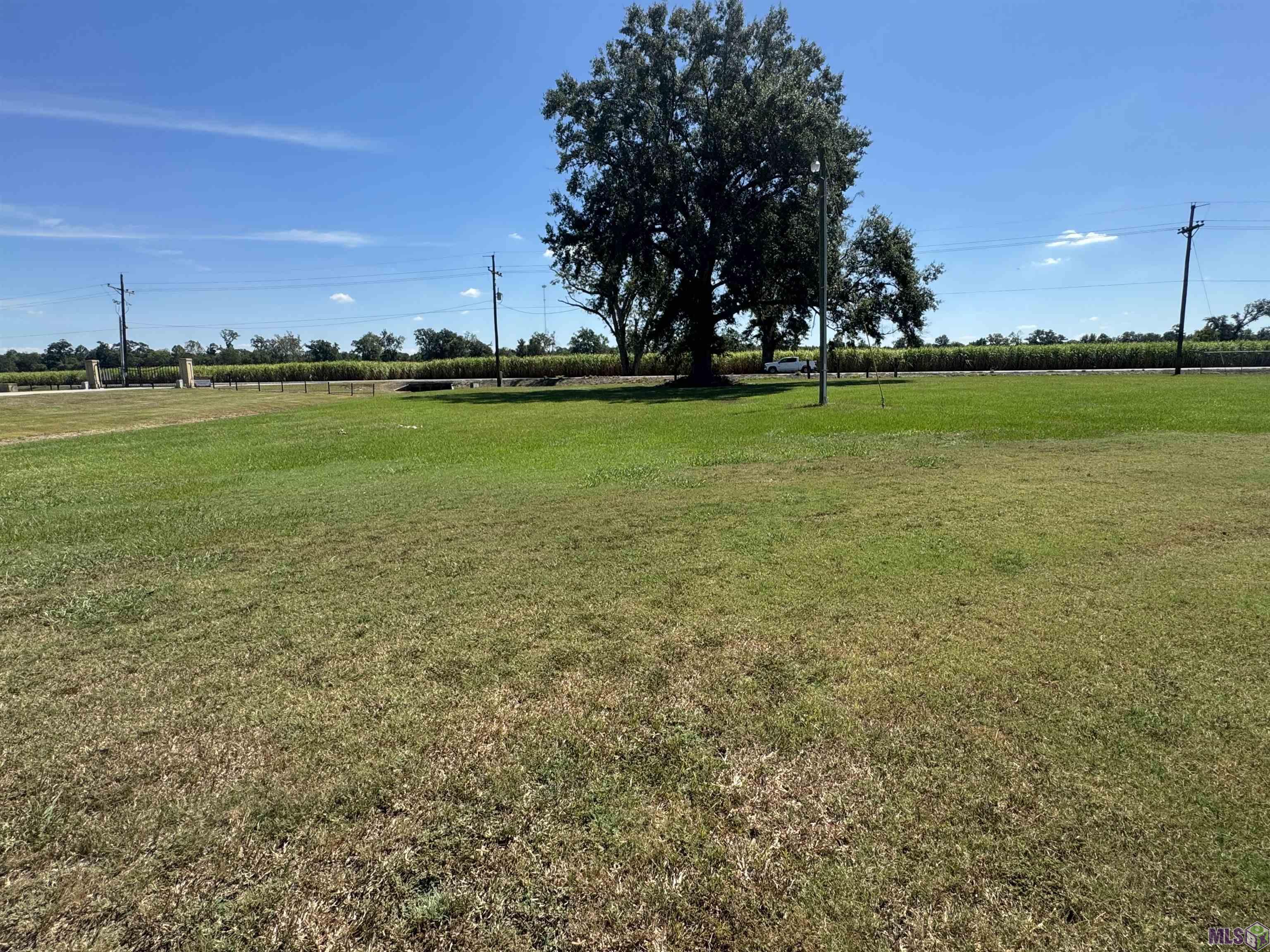 75830 Rosedale Road Rosedale, LA 70772 - Photo 6 of 7