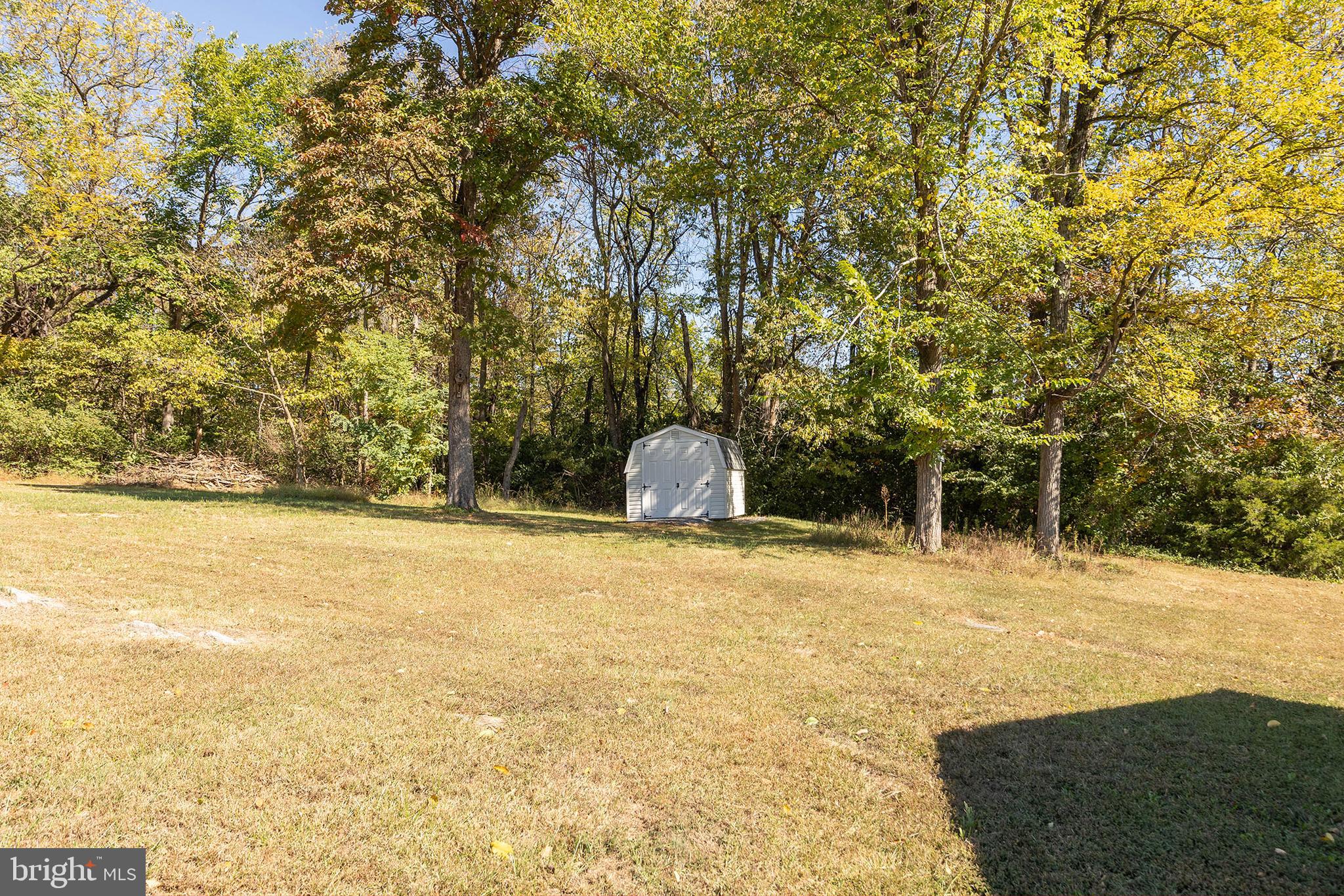 1039 Hiatt Road Clear Brook, VA 22624 - Photo 53 of 55 a view of back yard of the house