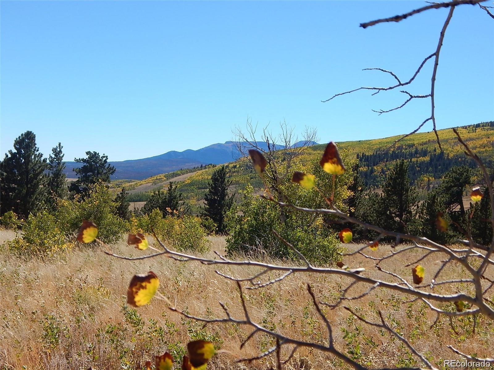 914 Sheep Ridge Road Fairplay, CO 80440 - Photo 1 of 1 a view of a terrace