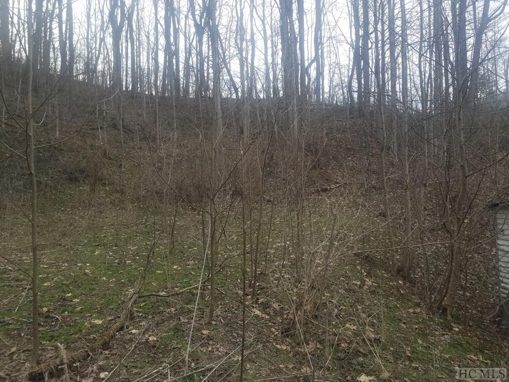 0 Pigeon Road Canton, NC 28716 - Photo 6 of 27 Gallery Image 6