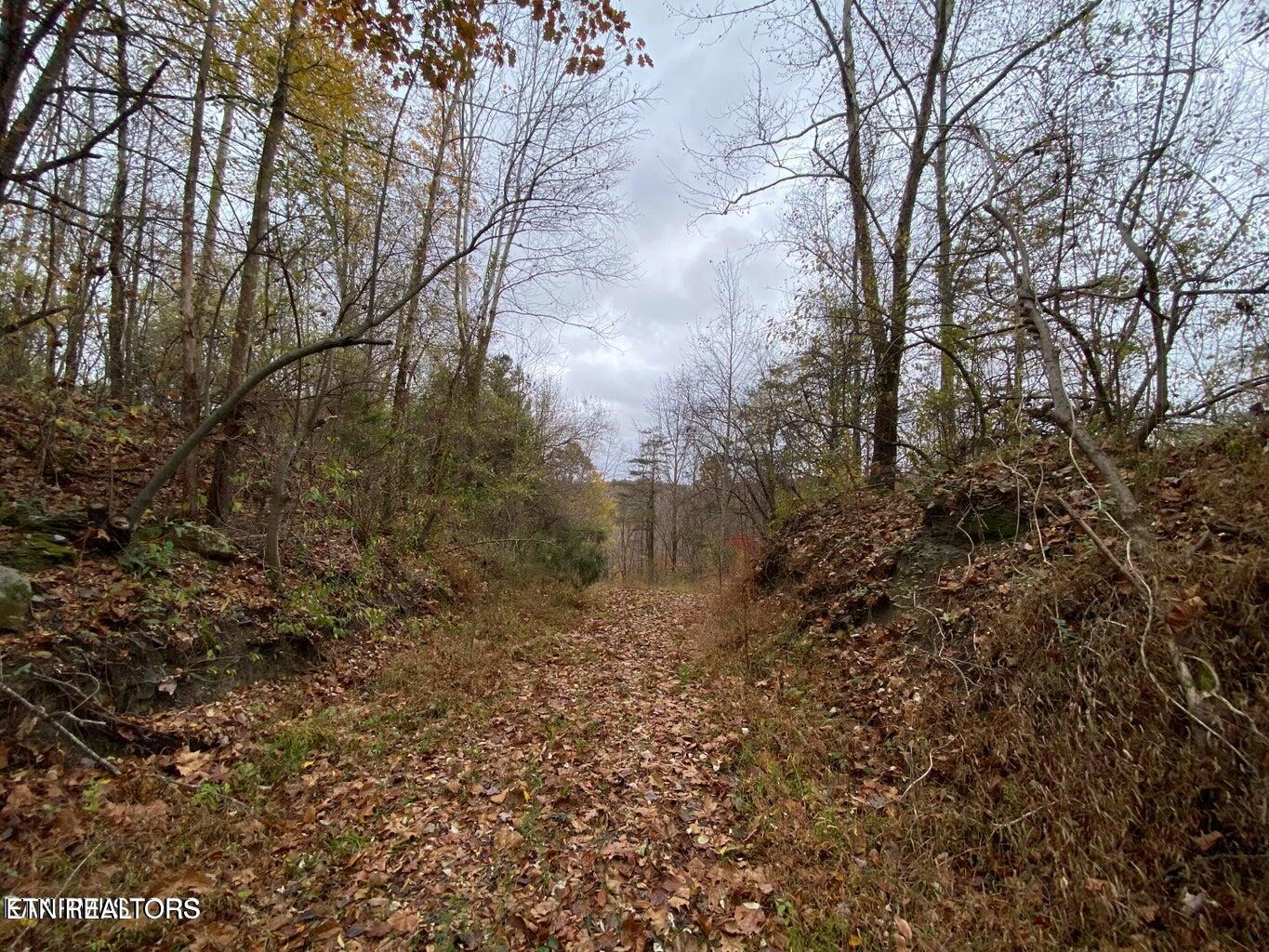 0 Paint Rock Road Oneida, TN 37841 - Photo 1 of 11 20230911221538707235000000-o