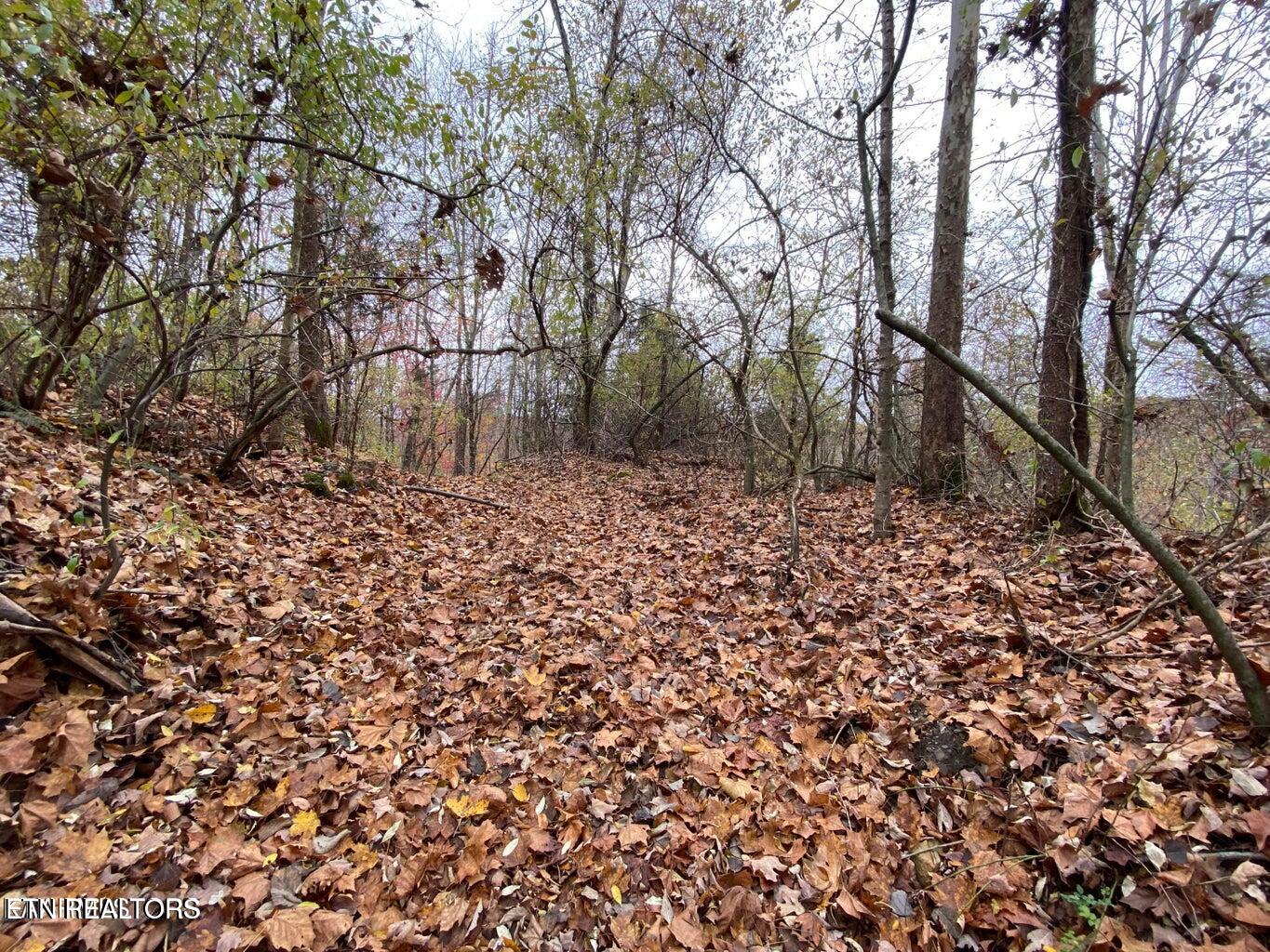 0 Paint Rock Road Oneida, TN 37841 - Photo 2 of 11 20230911221550679063000000-o