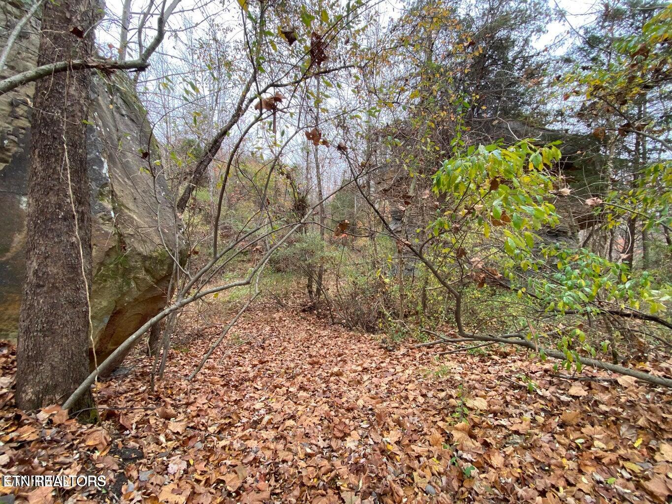 0 Paint Rock Road Oneida, TN 37841 - Photo 3 of 11 20230911221546845360000000-o