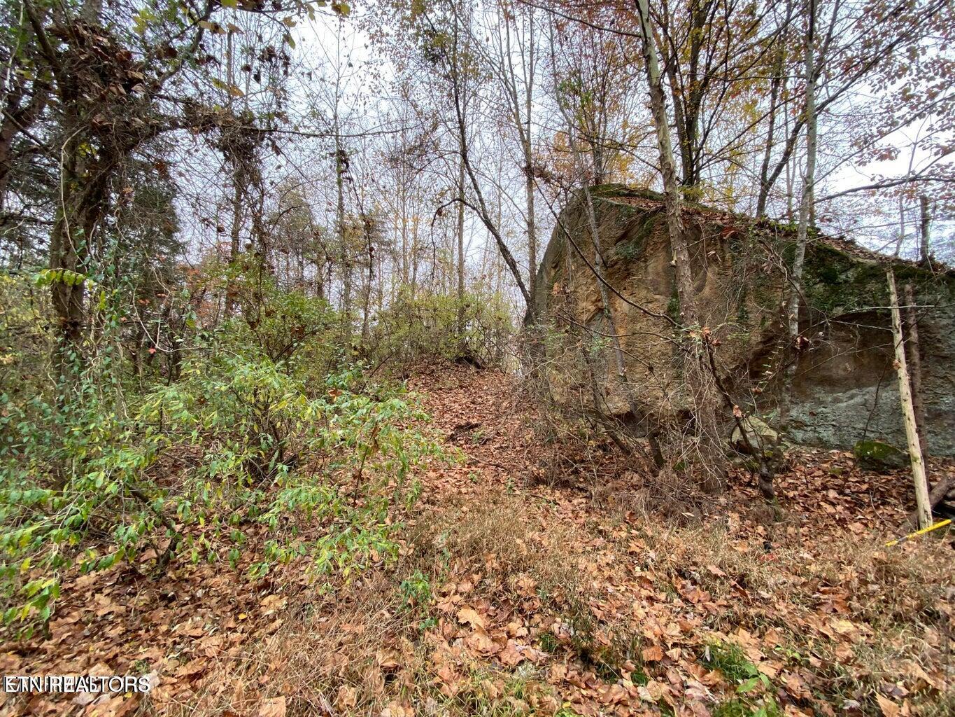 0 Paint Rock Road Oneida, TN 37841 - Photo 4 of 11 20230911221542681580000000-o