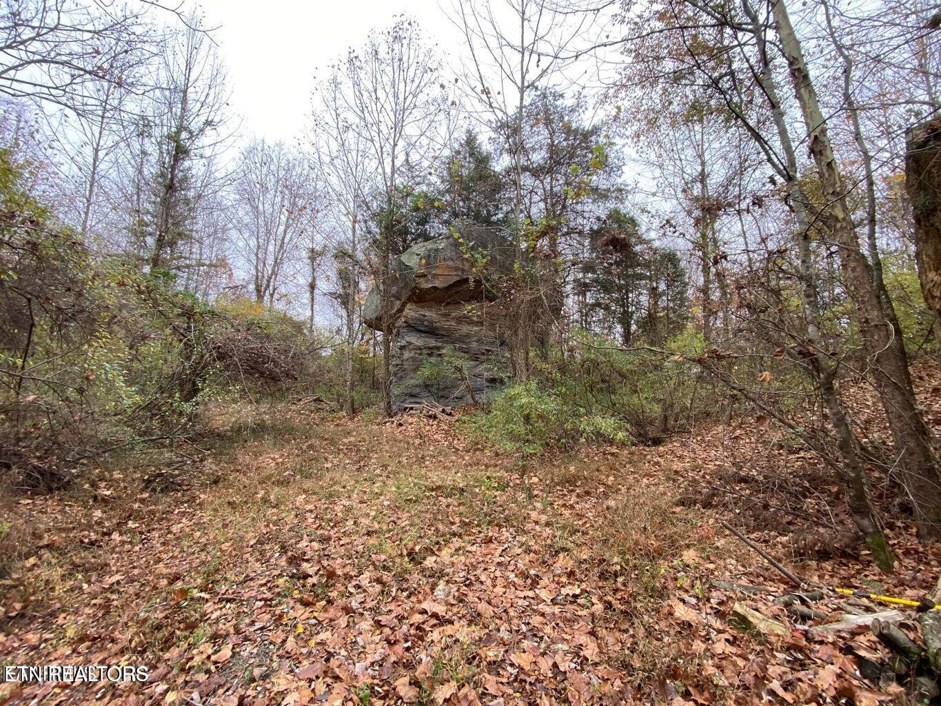 0 Paint Rock Road Oneida, TN 37841 - Photo 7 of 11 20230911221525622411000000-o
