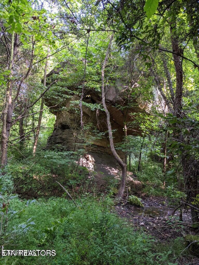 0 Paint Rock Road Oneida, TN 37841 - Photo 9 of 11 20230911221517609616000000-o