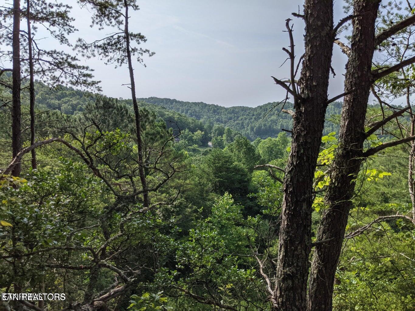 0 Paint Rock Road Oneida, TN 37841 - Photo 10 of 11 20230911221509665641000000-o