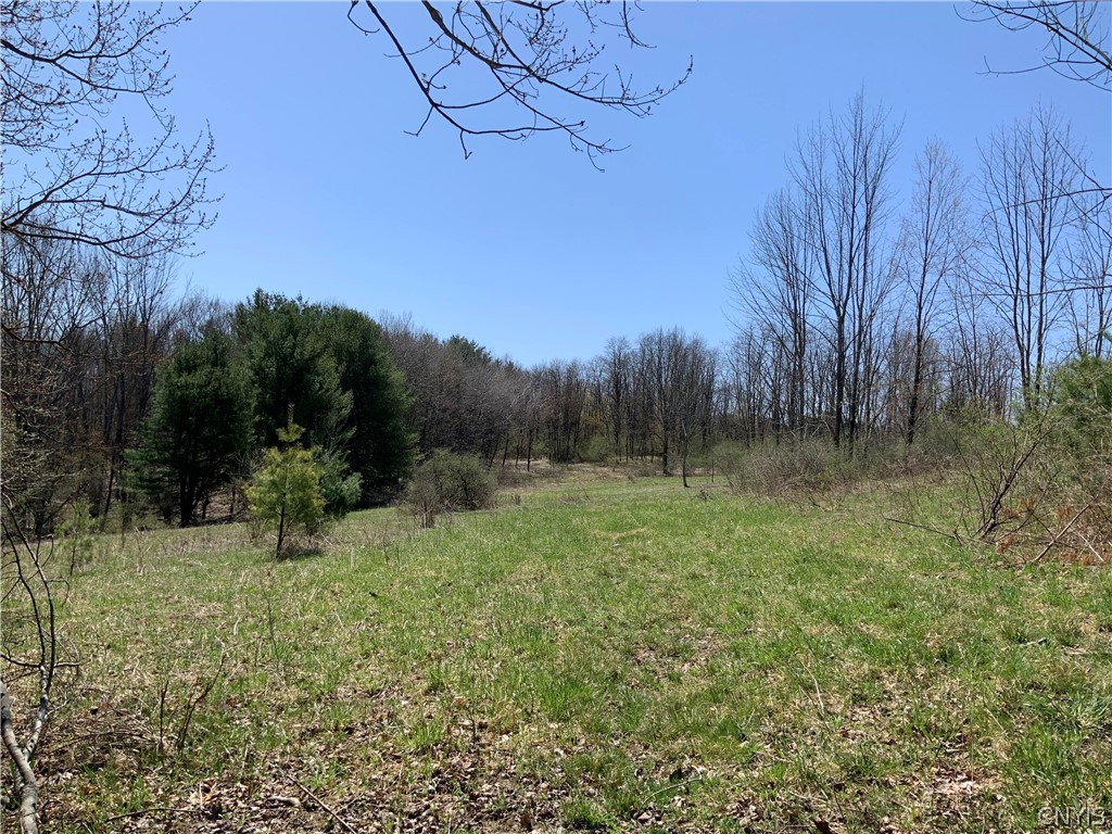 0 Legge Hill Road Candor, NY 13743 - Photo 1 of 1 Gallery Image 1