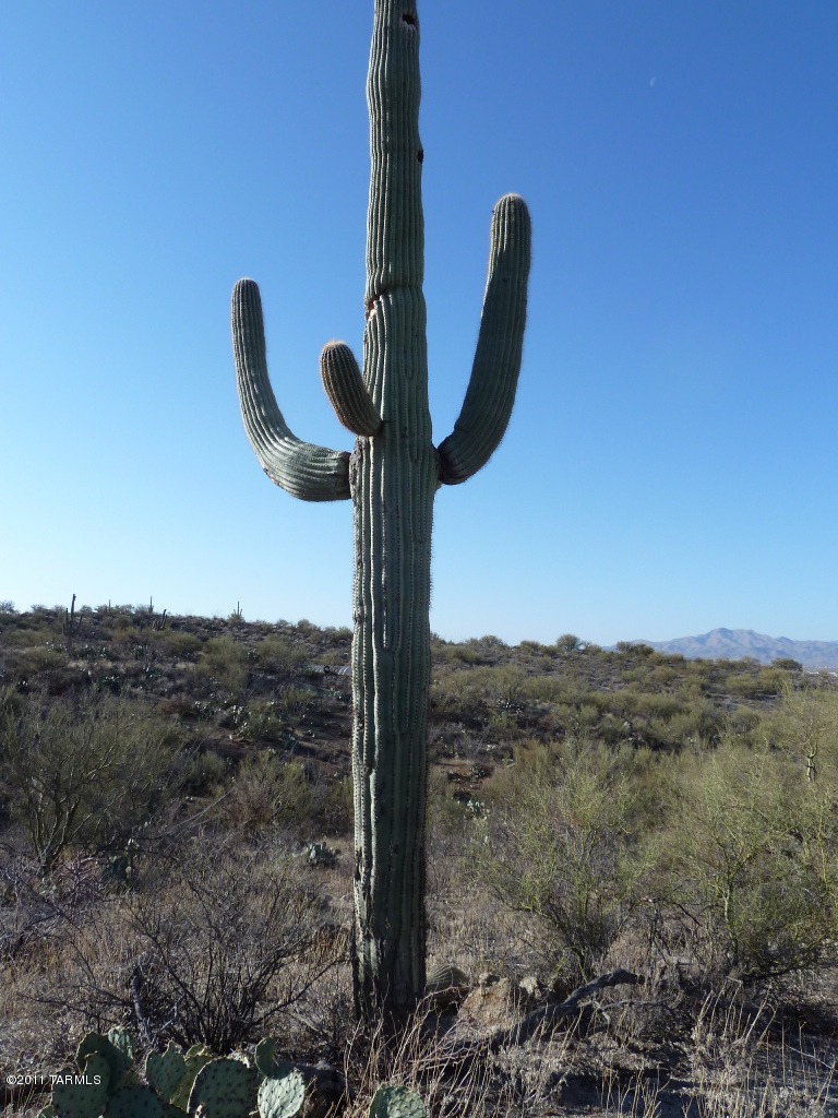 Lava Peak, Unit 2 Vail, AZ 85641 - Photo 1 of 5