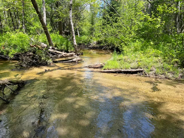 $100,000 | Lot A Goodwin Road, Carthage, ME 04224